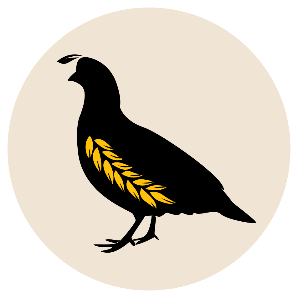 Amy's Profile Picture